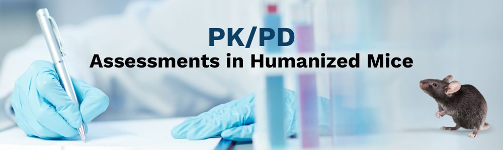 PK/PD - Humanized Mouse Model