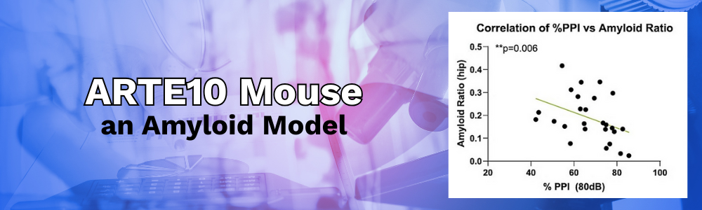 ARTE 10 an Amyloid Model