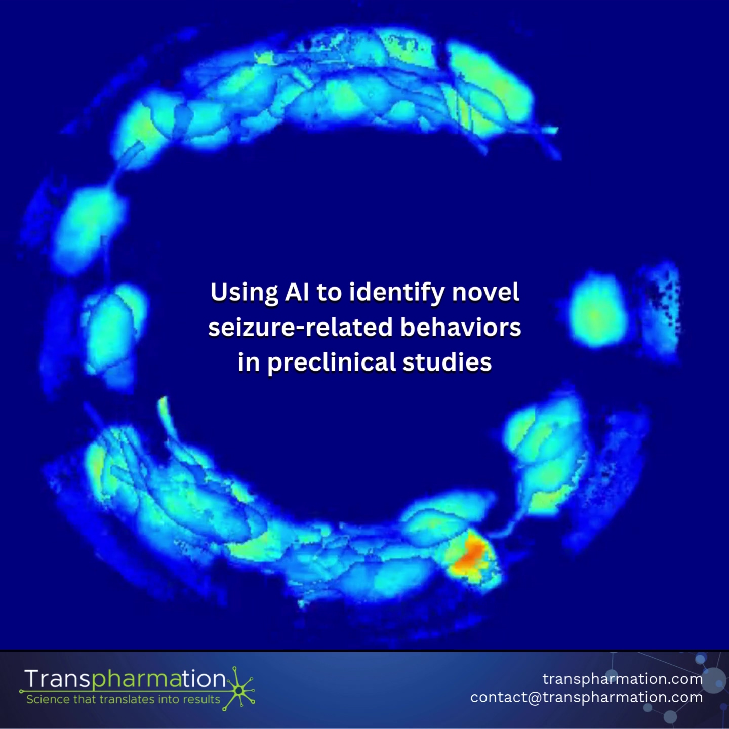 MoSeq video thumbnail