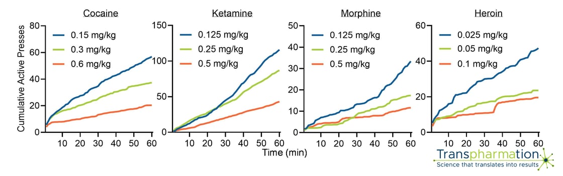 Cumulative drug-seeking responses within a session
