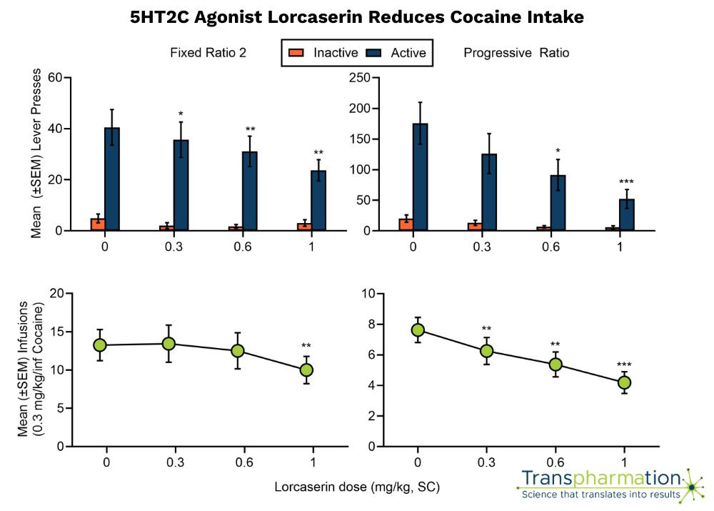 5HT2C agonist Lorcaserin reduces cocaine intake